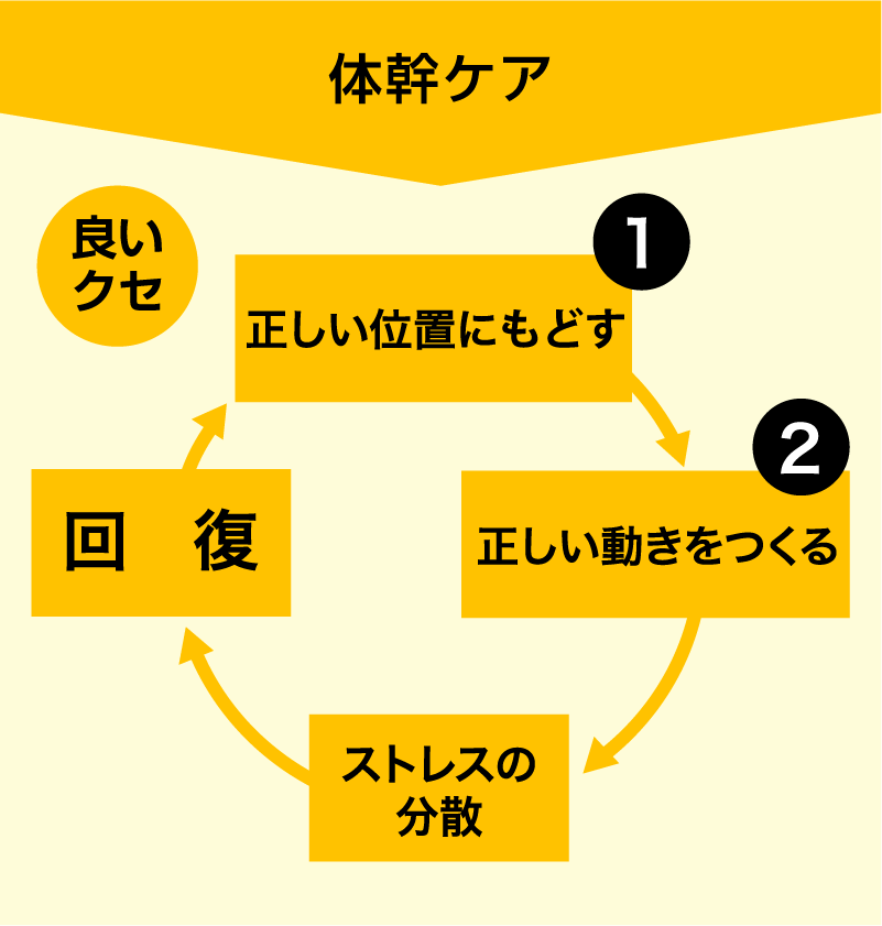 体幹ケアの流れ図